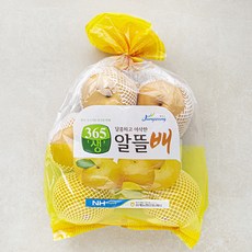 남도장터 삼계농협 365생 Sweet Ugly 알뜰배, 3kg(5~7입), 1개