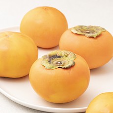 다조은 GAP 인증 창원 부유 줄단감 5개입, 1개, 1.2kg(2L)