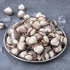 바다림 서해안에서 키운 산지직송 생물 새꼬막 (냉장), 1kg, 1개