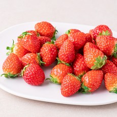 새벽경매 한입 설향딸기, 450g, 1개