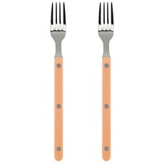 메종오브제 파르베 티포크, 누드핑크, 2개