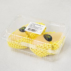 과일엔 태국산 골드망고 800g, 1팩