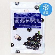 딜라잇가든 블랙커런트 (냉동), 500g, 1개