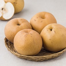 다조은 가정용 알뜰배 실속형 7~16개입, 7.5kg, 1개