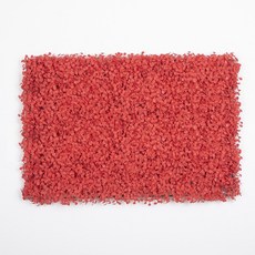 Closer than Salz to Nature 米蘭微型植物 40 x 60 cm, 1個, 紅色的