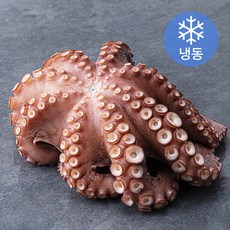 삼삼해물 국내산 자숙 통문어 (냉동), 1000g, 1개