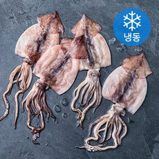 피시원 국내산 손질 오징어 (냉동), 700g(중, 4미), 1개