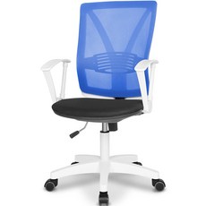 체어포커스 힐링체어 화이트바디 베이직 메쉬 책상의자 T100, 블루