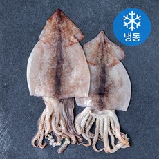 서풍앤쿡 국내산 손질 오징어 2미 (냉동), 400g, 1개