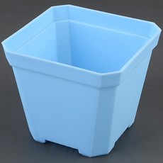 미니 컬러 사각 플라스틱 화분 10p, 블루