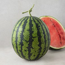 다조은 당도선별 수박, 9kg 미만, 1개