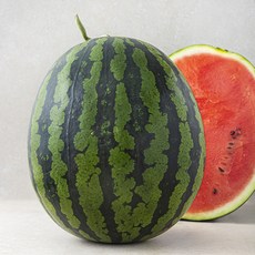 다조은 새벽경매 유명산지 수박, 11kg 미만, 1개