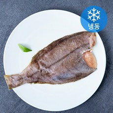 어부네생선가게 국내산 손질 가자미 (냉동), 170g, 1개