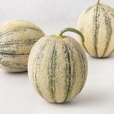좋은하루 산지직송 후숙해서 드리는 미니 칸탈로프 메론 3~4입, 2kg, 1개