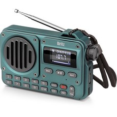 브리츠 블루투스 FM 라디오 스피커 BZ-LV1100, 그린
