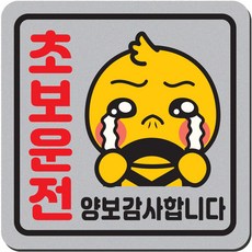 자동차 자석 스티커 정사각 중 A06 초보운전 병아리, 은색, 1개 은색, 1개