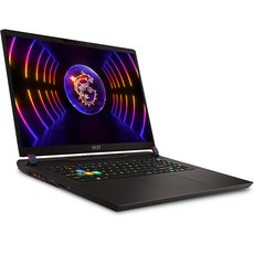 MSI 2023 VECTOR GP78 17, 코스모스 그레이, 코어i9, 4TB, 32GB, Win11 HOME, MS-17S