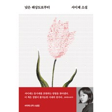 낮은 해상도로부터, 서이제, 문학동네