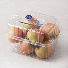 맑은청 청정강원 찰토마토, 1kg, 1팩