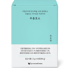 푸름웰니스 푸름효소 민트 맛 30p, 90g, 1개