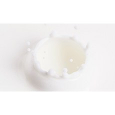 호흐발드 슈테른 밀쉬 멸균우유, 1L, 12개