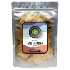 동이약초 상황버섯 통, 500g, 1개