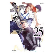 어떤 마술의 금서목록, 25권, 대원씨아이
