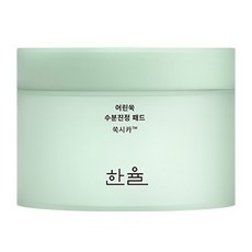 한율 어린쑥 수분진정 패드 170ml, 60개입, 1개