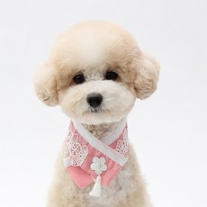 이츠독 수선화 한복 케이프 강아지 고양이 겸용, 분홍, 1개