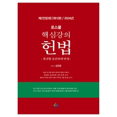 로스쿨 핵심강의 헌법:법전협 표준판례 반영, 윌비스