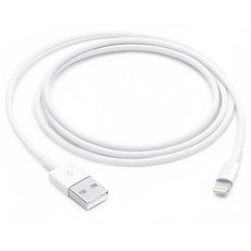 Apple Lightning-USB 케이블 MUQW3FE/A, 1m, 화이트, 1개