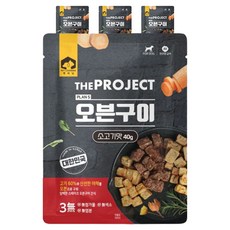 펫러닝 강아지 더 프로젝트 PLAN5 오븐구이 사료, 소고기맛, 40g, 4개 - 프랑테리펫푸드