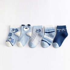 하라로이 유아용 보트 블루베어 양말 5족 세트
