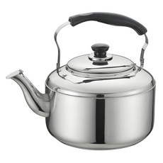 QUEEN SENSE IH電磁爐適用吹口茶壺, 1個, 混色, 10L