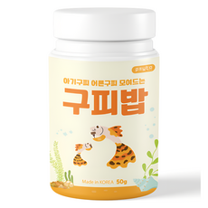 페이토 구피밥 소형열대어 구피 전용사료, 50g, 1개