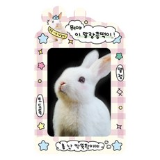 마넷 포토카드 홀더 + 키링 세트, 퍼플 + 화이트(찹쌀톡), 1매