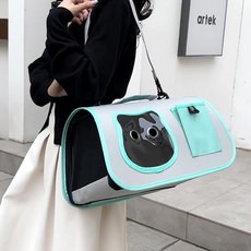 랜보어 반려동물 냥냥 포켓 이동가방, 민트, 1개
