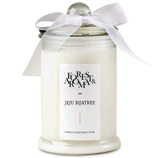 Candle Department Store 森林香氛蠟燭, 濟州榧子樹, 750g, 1個