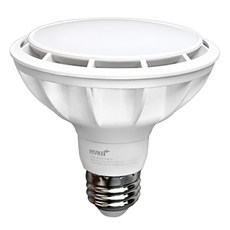 번개표 확산형 램프 LED PAR30 15W, 주광색, 1개 주광색, 1개