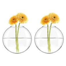 Toby 記憶壁掛式玻璃花瓶 2p, 透明