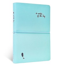 Iciel design 每日 ICL 日記 M 2025, 1個, 薄荷