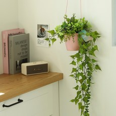人工懸掛植物L, 1個, 棉花糖