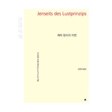 쾌락 원리의 저편(큰글씨책), 지크문트 프로이트 , 강영계, 지식을만드는지식