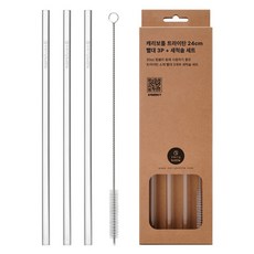 carry bottle Tritan吸管 24cm 3入+清潔刷組, 1組, 1個