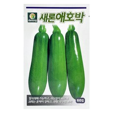 다농 새론 애호박 씨앗 60p, 1개