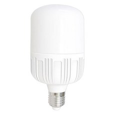 LED DO工廠保全燈 T燈 40W, 晝光色, 1個