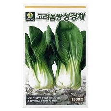 다농 고려 몸짱 청경채 씨앗 1500p, 혼합색상, 1개 1개