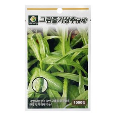 다농 그린 줄기 상추씨앗 1000p, 1개