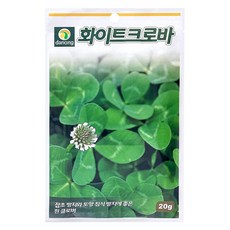 다농 화이트크로바 씨앗 20g, 1개 1개
