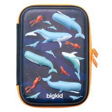 bigkid 硬殼筆袋, 1個, 鯨鯊